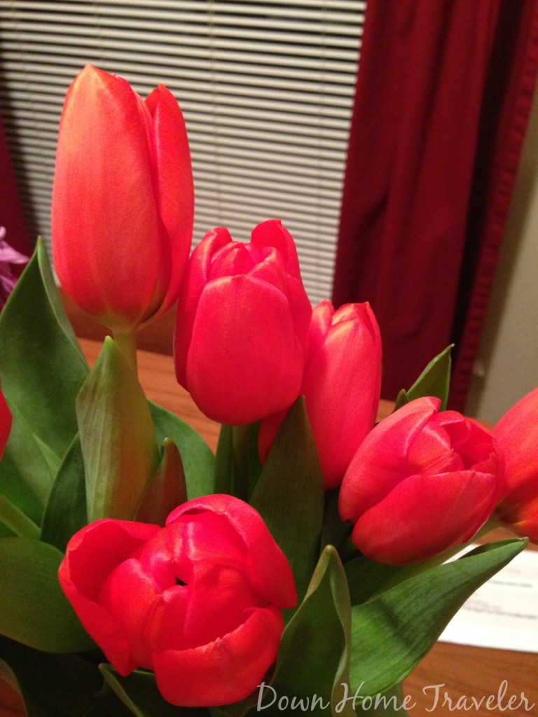 #catchthemoment365 #project365 #tulips #flowers