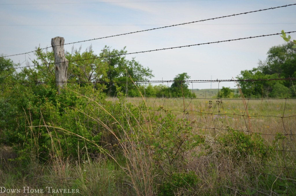 Texas, Catch the Moment, Fence, Country