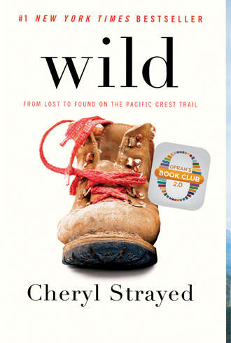Book Review, Cheryl Strayed, WILD, Hiking
