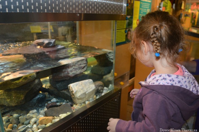 Burlington, Vermont, Aquarium, Science Center, Children, Lake Champlain