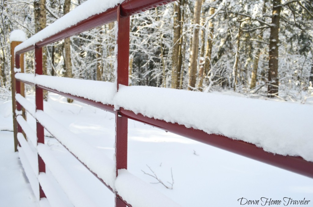 Snow Covered Gate, Vermont, Hike, Winter, Snow, Gate, Fence, Eden Vermont