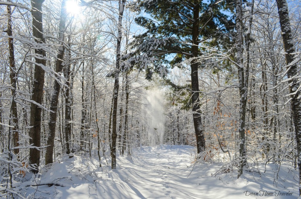 Vermont, Hike, Winter, Snow, Forest, Snow Covered Trees, Richford Vermont, Green Mountains