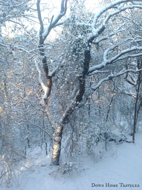 Snow, Arlington Texas, 