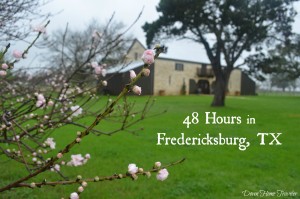 Fredericksburg, Texas, VisitFredTX, Wine Trail, Hill Country, Fredericksburg To Do, Becker Vineyards